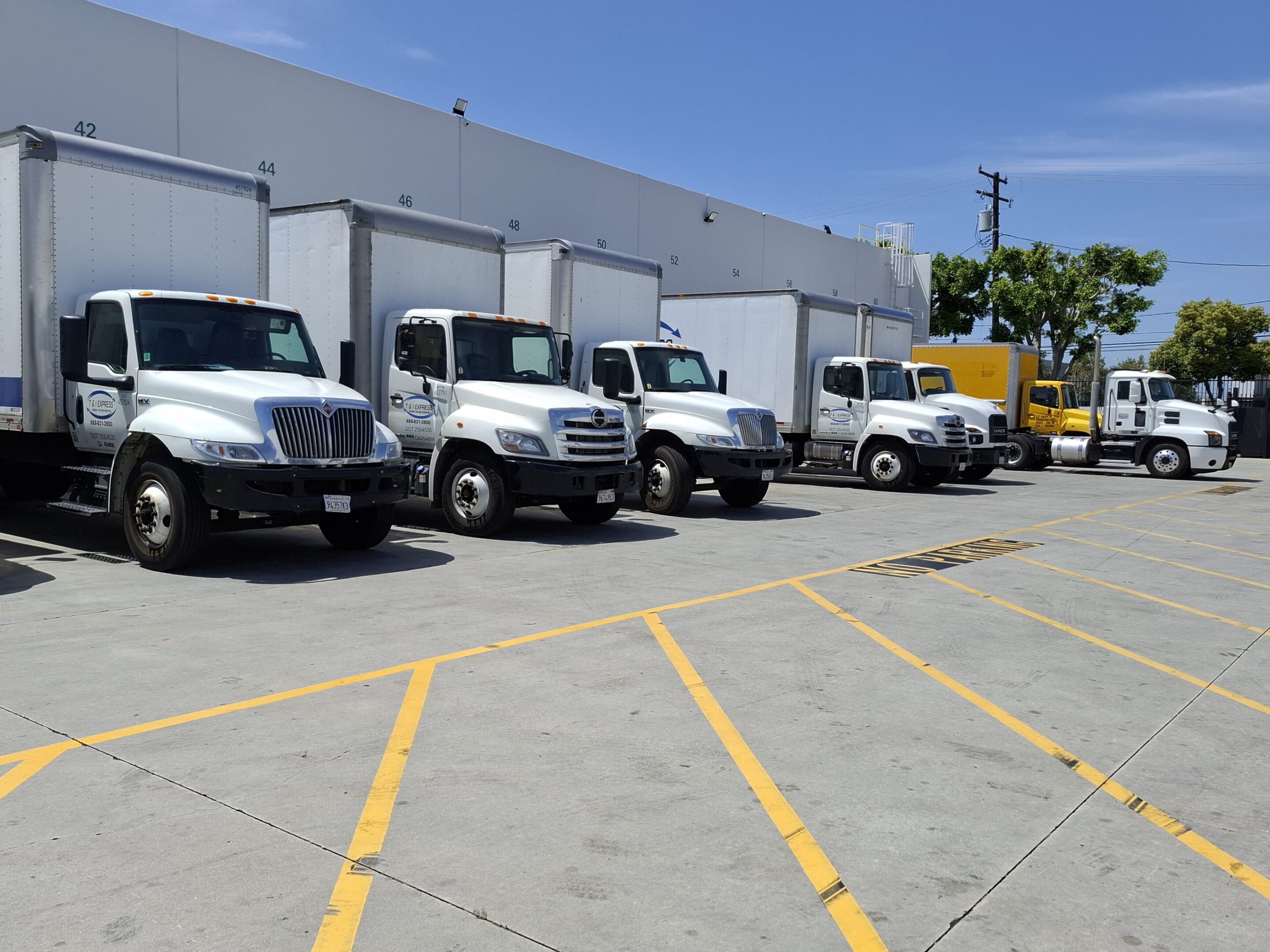 Home Page - Freight Solutions Picture 1